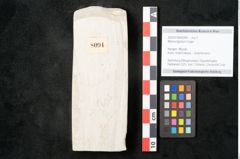 Foto (Objekt + Etikett) von Myrica lignitum Unger (NHMW-GEO-2024-0188-8094)